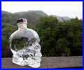 Crystal Skull Vodka by Dan Akroyd